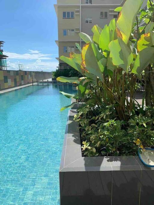 1Br With Extra Room At One Regis- Megaworld Bacolod Eksteriør billede